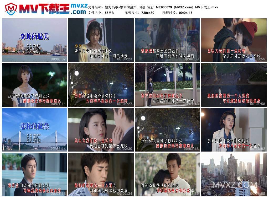 望海高歌-想你的温柔_国语_流行_ME900879